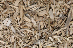 biomass boilers Dunstone